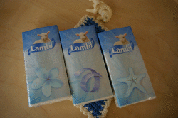 lambi
